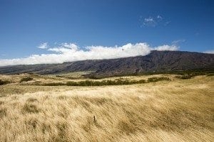 into the mountainous grassland